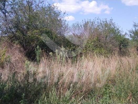 Acker-/Waldstück zum Kauf 53.800 € Fažana 52212