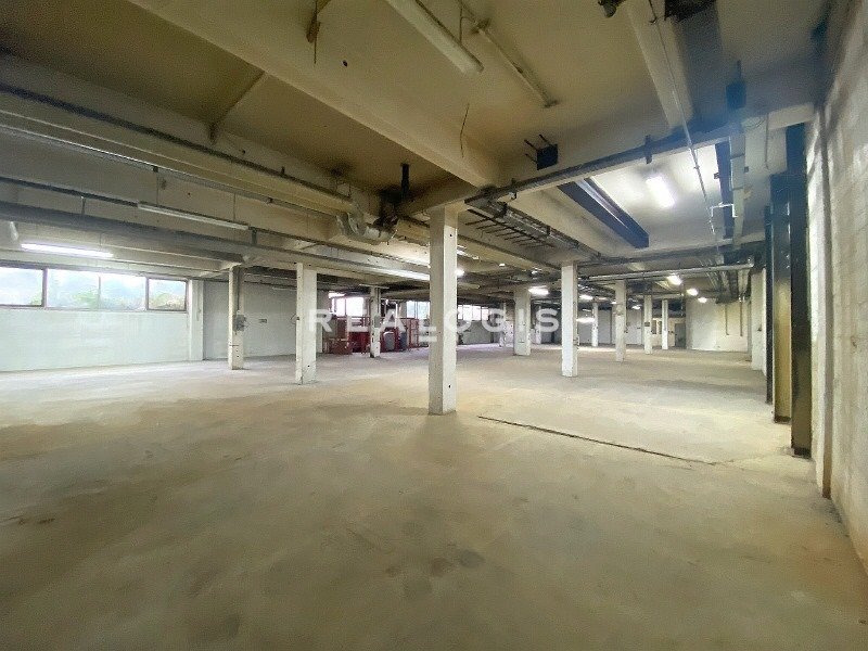 Halle/Industriefläche zur Miete 10,50 € 1.100 m²<br/>Lagerfläche Industriebezirk München 80997