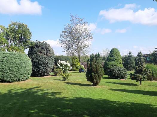 Haus zum Kauf 390.000 € 7 Zimmer 200 m² 1.600 m² Grundstück Euba Chemnitz 09125