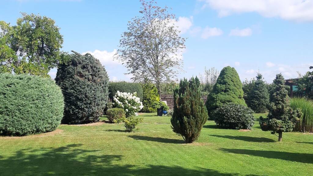 EFH mit wunderschönem Garten