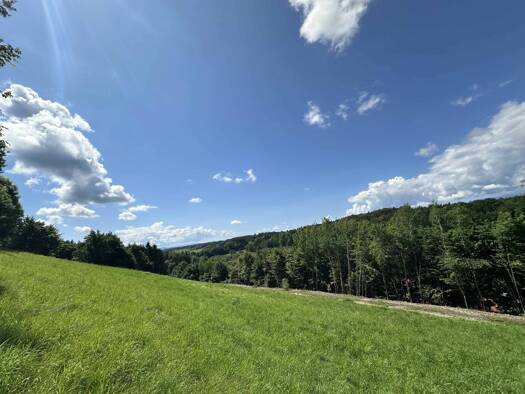 Sonstiges zum Kauf als Kapitalanlage geeignet 199.000 € 1.751 m² Grundstück Am Kaiserberg Lannach 8502