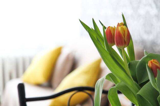 Wohnung zur Miete 980 € 3 Zimmer 95 m² Bernau Bernau 83233