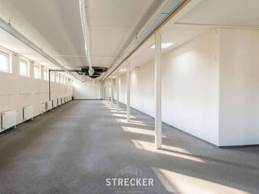 Ausstellungsfläche zur Miete provisionsfrei 3.700 € 370 m² Verkaufsfläche Rohrbach Heidelberg 69126