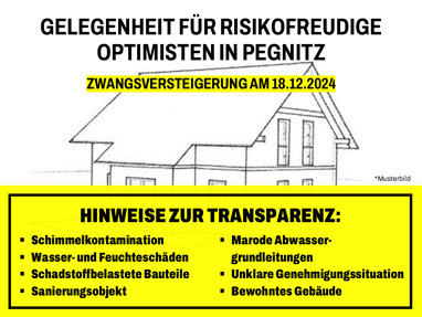 Mehrfamilienhaus zur Zwangsversteigerung provisionsfrei 8 Zimmer 170 m² 1.720 m² Grundstück Alte Poststr. XX Pegnitz Pegnitz 91257