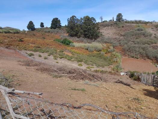Acker-/Waldstück zum Kauf 26.420 € Santa María de Guía de Gran Canaria 35450