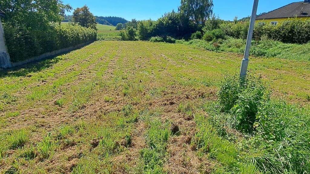 Grundstück zum Kauf 78.234 € 1.326 m² Grundstück Schlatzendorf 3383