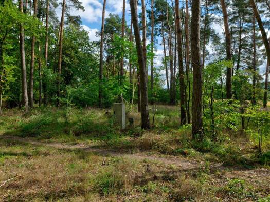 Grundstück zum Kauf 500.000 € 945 m² Grundstück Stahnsdorf 14532