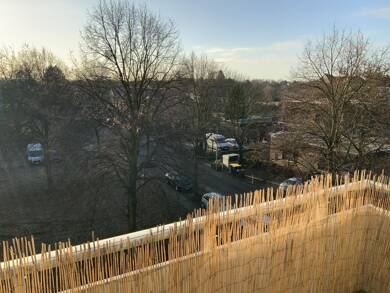 Wohnung zur Miete 609 € 3 Zimmer 65,2 m² EG frei ab 03.09.2025 Frankenstraße 30 Mönchengladbach 41238