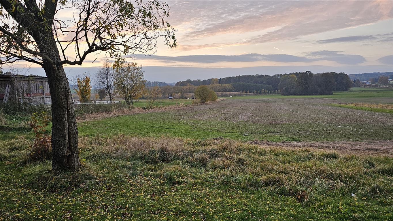 Einfamilienhaus zum Kauf 88.888 € 6 Zimmer 200 m²<br/>Wohnfläche 2.023 m²<br/>Grundstück ab sofort<br/>Verfügbarkeit Leutersdorf Leutersdorf , OL 02794