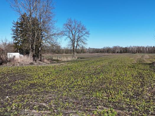 Grundstück zum Kauf 419.000 € 1.370 m² Grundstück Eichenried Moosinning 85452