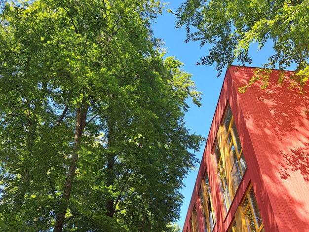 Wohnung zum Kauf provisionsfrei 215.000 € 2 Zimmer 57 m² 1. Geschoss Feldbahnweg 23 Bürmoos 5111
