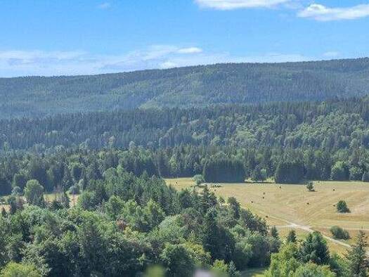 Haus zum Kauf 495.000 € 8 Zimmer 205 m² 1.280 m² Grundstück Dobel 75335