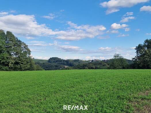 Grundstück zum Kauf 290.000 € 6.816 m² Grundstück Grieselstein 8380