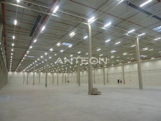 Lagerhalle zur Miete provisionsfrei 8.657 m² Lagerfläche Friemersheim Duisburg 47229