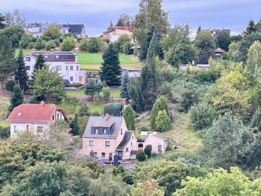 Einfamilienhaus zum Kauf 69.000 € 5 Zimmer 91 m² 660 m² Grundstück frei ab sofort Mylau 08499