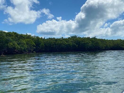 Grundstück zum Kauf 322.045 € Southern Long Caye 00000