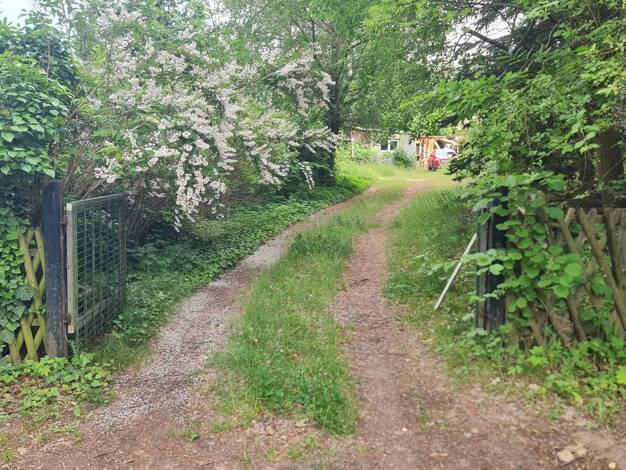 Grundstück zum Kauf provisionsfrei 320.000 € 1.096 m² Grundstück Holunderweg 14 Wandlitz Wandlitz 16348