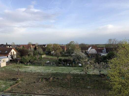 Wohnung zur Miete 550 € 2 Zimmer 52 m² EG frei ab sofort Essingen Essingen 76879