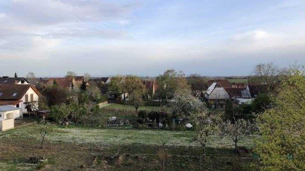 Wohnung zur Miete 550 € 2 Zimmer 52 m² EG frei ab sofort Essingen 76879