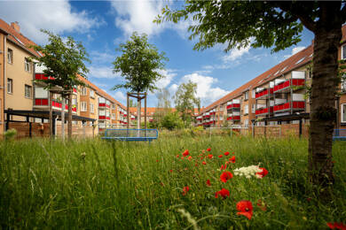Wohnung zur Miete 307 € 2 Zimmer 43,8 m² 1. Geschoss Nauestraße 6 Lutherplatz / Thüringer Bahnhof Halle (Saale) 06110