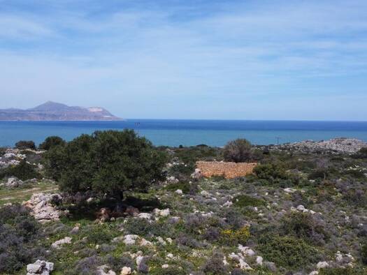 Grundstück zum Kauf 350.000 € 5.758 m² Grundstück Kreta Municipality of Chania 730 08