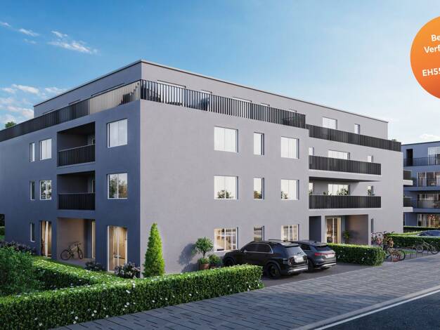 Wohnung zum Kauf - Neubau provisionsfrei 420.000 € 4 Zimmer 97 m² 1. Geschoss Ober-Mörlen Ober-Mörlen 61239