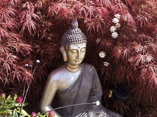 Doppelhaushälfte zum Kauf 1.200.000 € 4 Zimmer 140 m² 101 m² Grundstück frei ab sofort Schnelsen Hamburg 22457