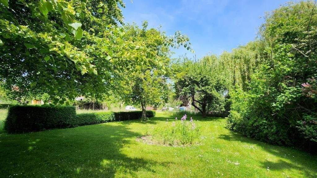 Immobilie in Regis-Breitingen - Ruhig gelegen, geräumig und familienfreundlich - Bild 2