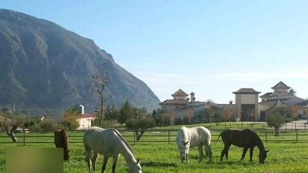 Einfamilienhaus zum Kauf 4.900.000 € 1 Zimmer 1 m² 200.000 m² Grundstück Alicante 03010