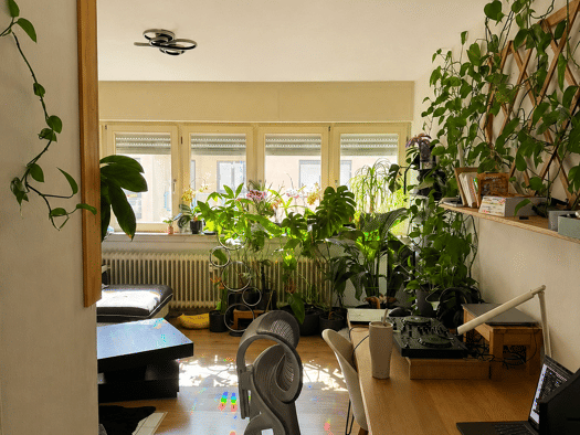 Wohnung zur Miete 930 € 2 Zimmer 45 m² Geschoss 3/5 frei ab 14.09.2026 Offenbach am Main Offenbach am Main 63071