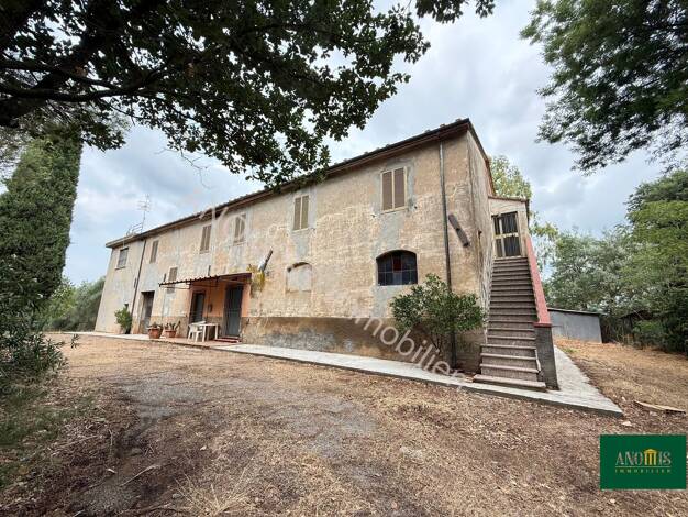 Mehrfamilienhaus zum Kauf 760.000 € 12 Zimmer 500 m² 17.000 m² Grundstück Scarlino 58024