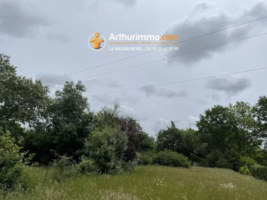 Grundstück zum Kauf 77.000 € 5.000 m² Grundstück Ouest Revel 31250