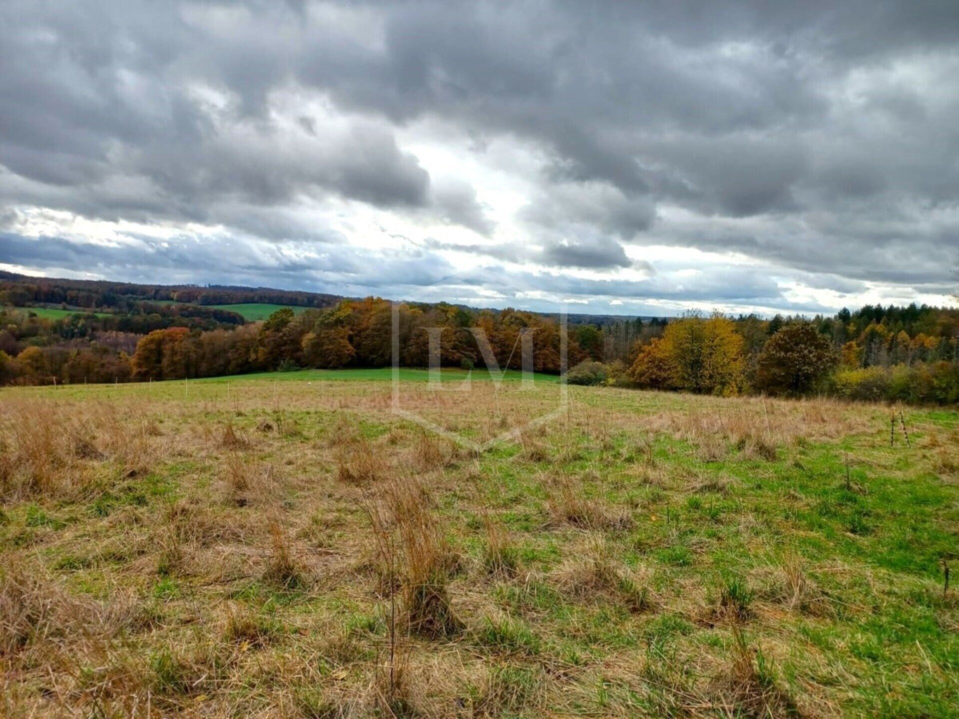 Landwirtschaftliche Fläche zum Kauf 43.000 € 13.380 m²<br/>Grundstück Benroth Nümbrecht 51588