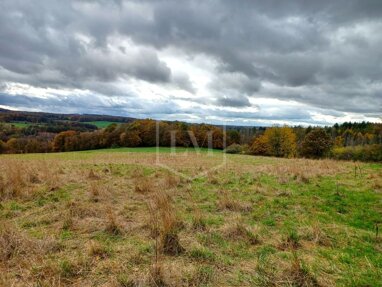 Landwirtschaftliche Fläche zum Kauf 43.000 € 13.380 m² Grundstück Benroth Nümbrecht 51588