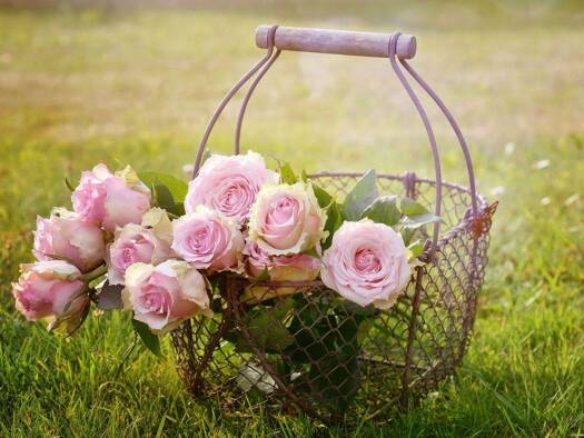 Wohnung zur Miete 1.150 € 3 Zimmer 70,6 m² EG Simon-Bolivar-Straße 6 Alt-Hohenschönhausen Berlin 13055