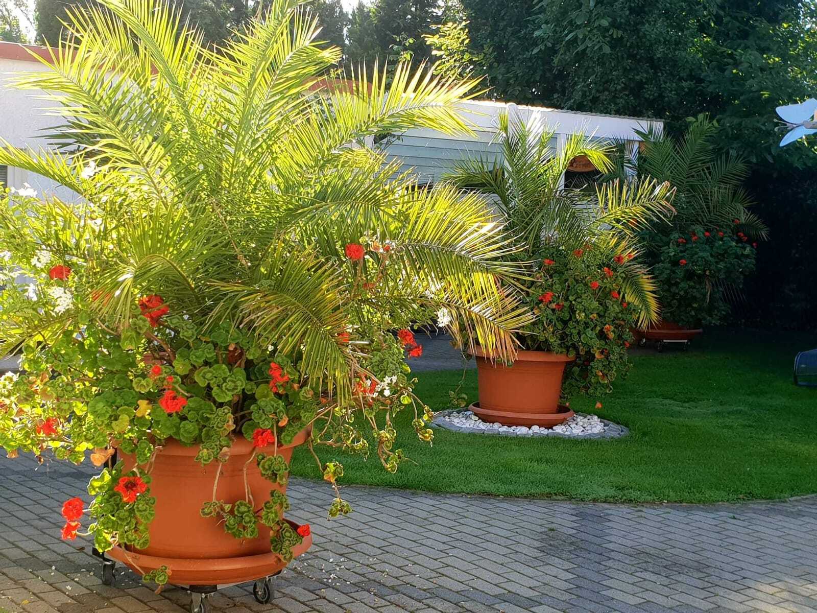 Property thumbnail 24