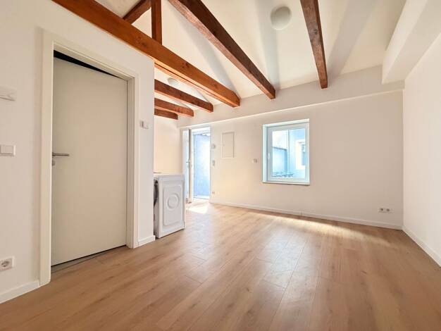 Studio zur Miete 450 € 1 Zimmer 27 m² EG frei ab sofort Willstraße 8 Gostenhof Nürnberg 90429