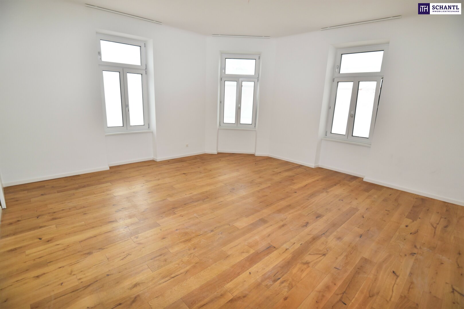 Wohnung zum Kauf 243.000 € 1 Zimmer 48,5 m²<br/>Wohnfläche 2.<br/>Geschoss Angeligasse Wien 1100