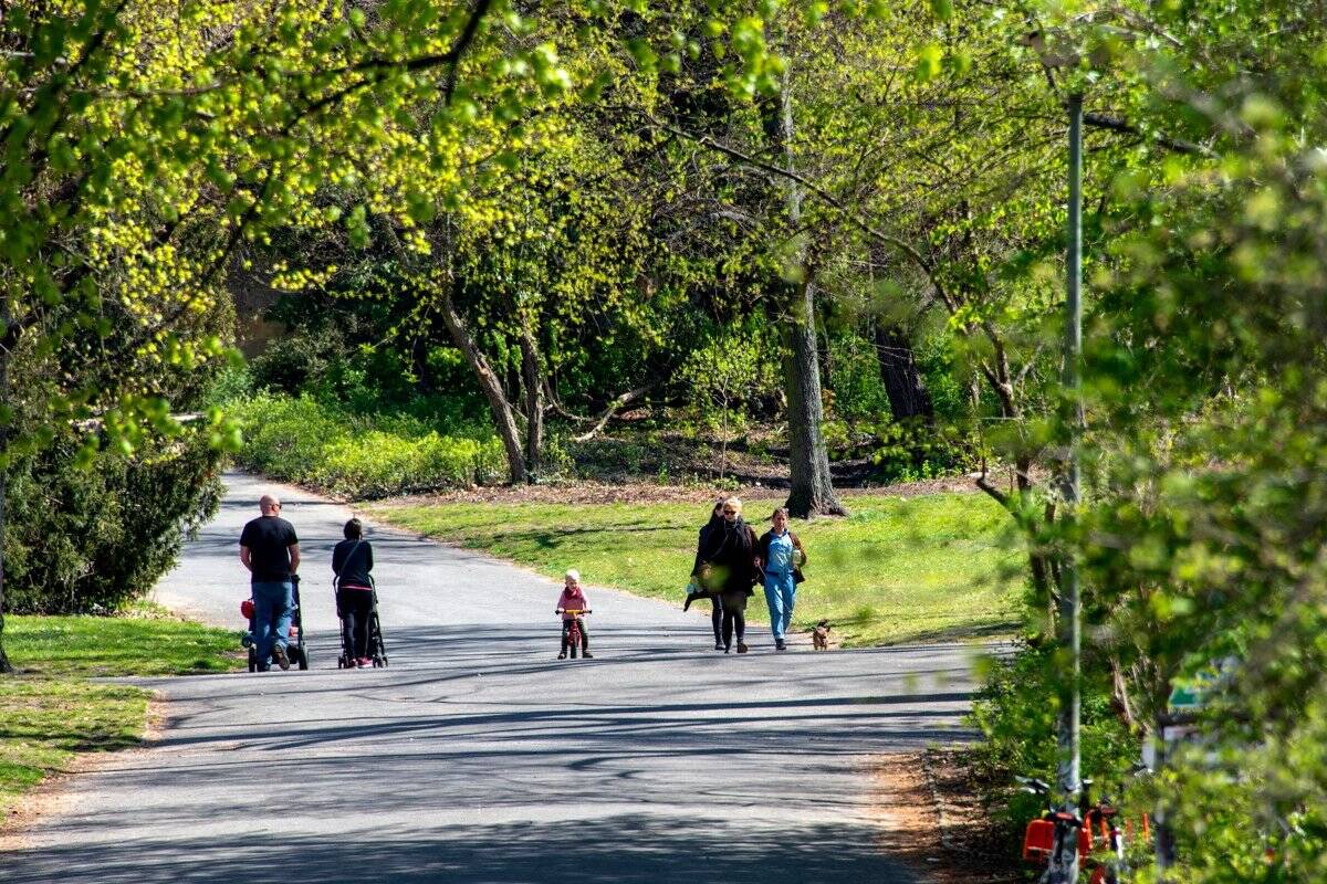 Property thumbnail 15