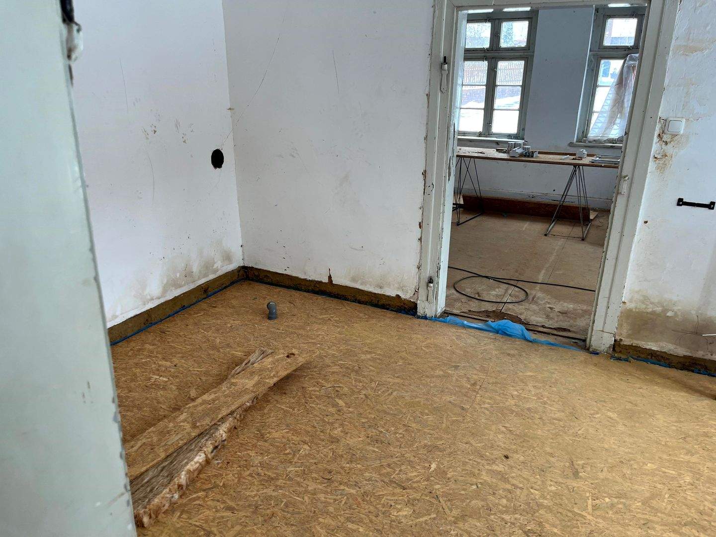 Immobilie in Himbergen - Altbau mit neuem Charme in Himbergen - Bild 1