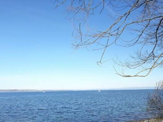 Einfamilienhaus zum Kauf Lindenhof Zürich 8001