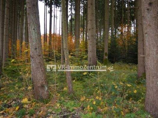 Forstwirtschaft zum Kauf 119.000 € 16.530 m² Grundstück Kaufering 86916