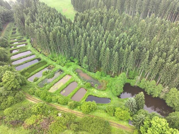 Teich-/Fischwirtschaft zum Kauf 95.000 € 24.167 m² Grundstück Kopp 54574
