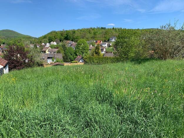 Grundstück zum Kauf 355.000 € 804 m² Grundstück Sailauf Sailauf 63877