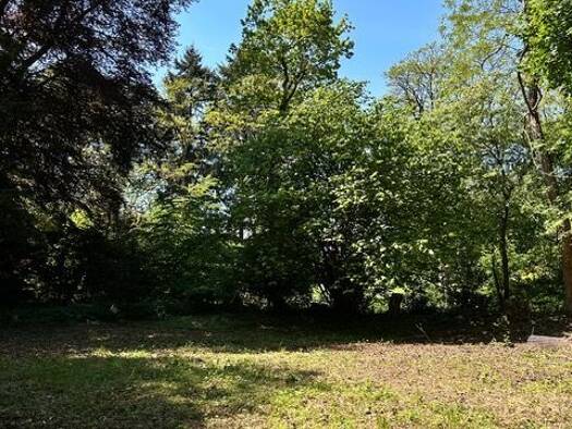 Grundstück zum Kauf 168.000 € 1.137 m² Grundstück frei ab sofort Hannoversche Straße 12 Sprötze Buchholz in der Nordheide 21244