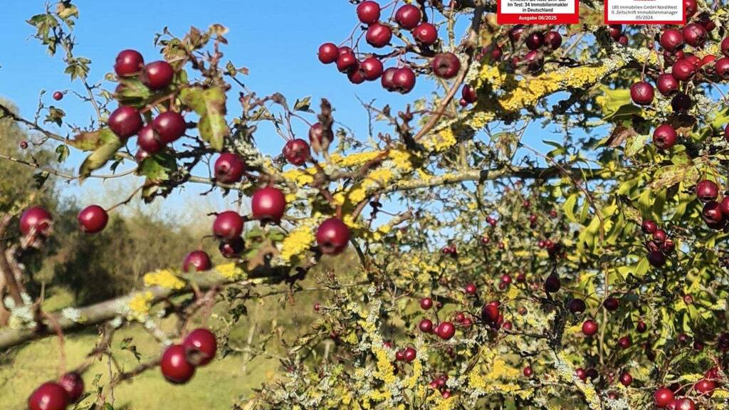 Grundstück zum Kauf 207.000 € 470 m² Grundstück Mahlsdorf Berlin 12623