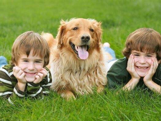 Einfamilienhaus zum Kauf provisionsfrei 425.000 € 5 Zimmer 140 m² 460 m² Grundstück Müssen Lage 32791