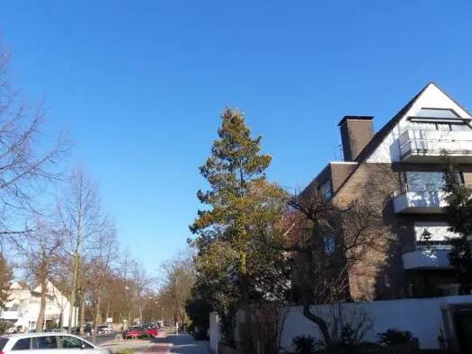 Terrassenwohnung zur Miete 940 € 2 Zimmer 50 m² Kaiserswerth Düsseldorf 40489