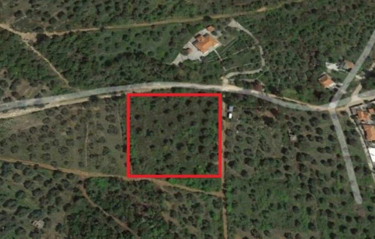 Land-/Forstwirtschaft zum Kauf 160.000 € 5.770 m²<br/>Grundstück Thassos