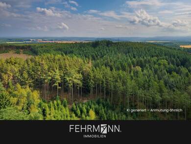 Land-/Forstwirtschaft zum Kauf 100.300 € 77.967 m² Grundstück Breitenfeld Breitenfeld 39638